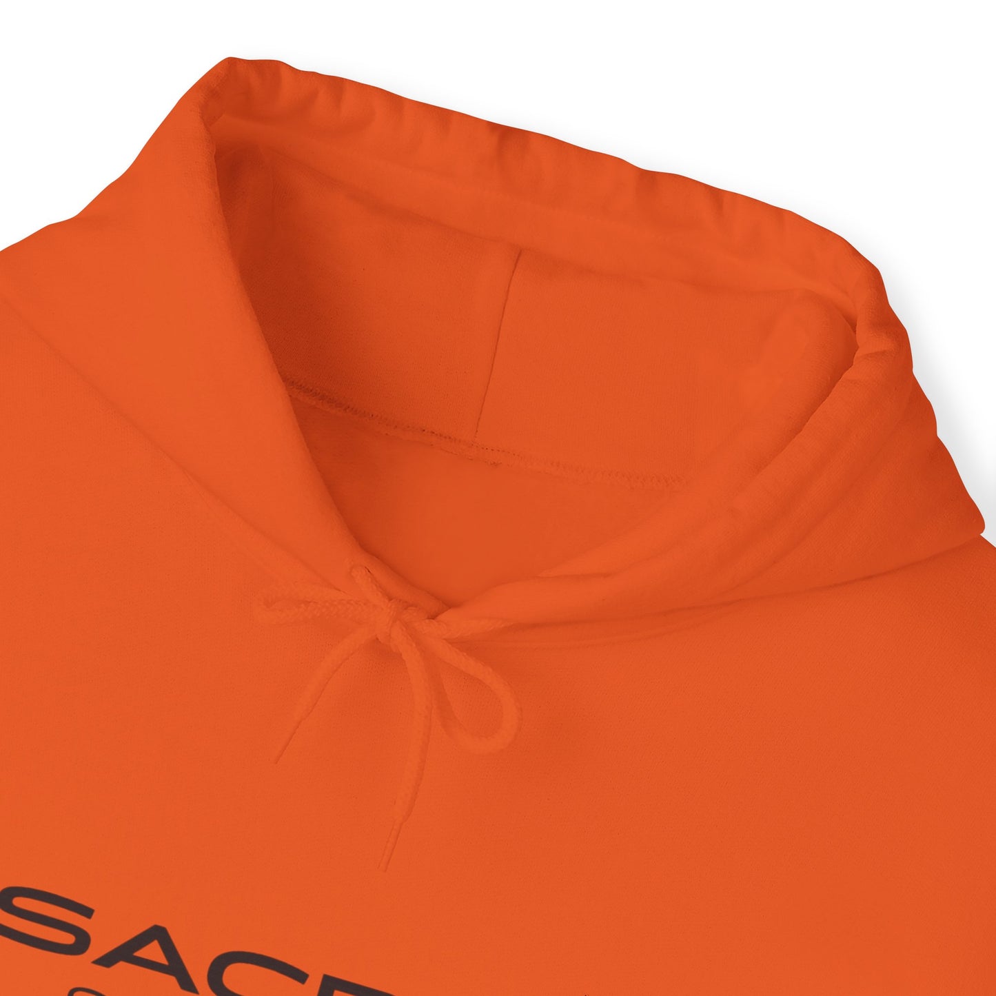 Sacred Changes Unisex Hooded Sweatshirt